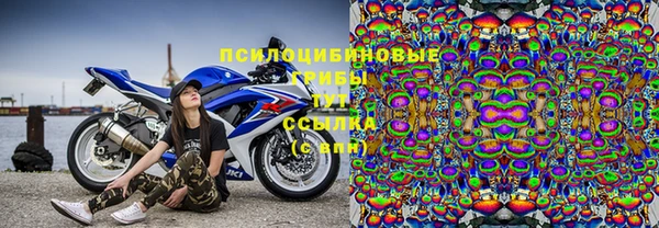 соль курить ск Каменногорск