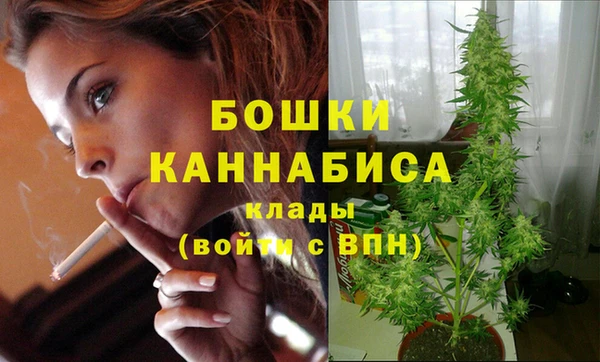 mdpv Каменск-Шахтинский