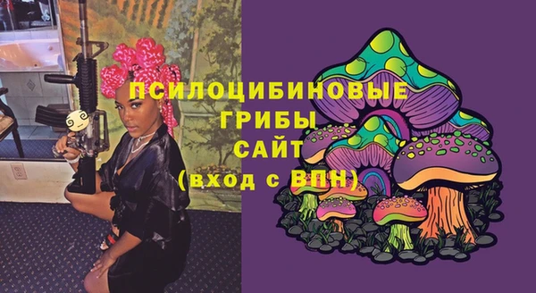 mdpv Каменск-Шахтинский