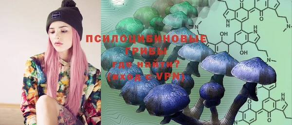 mdpv Каменск-Шахтинский