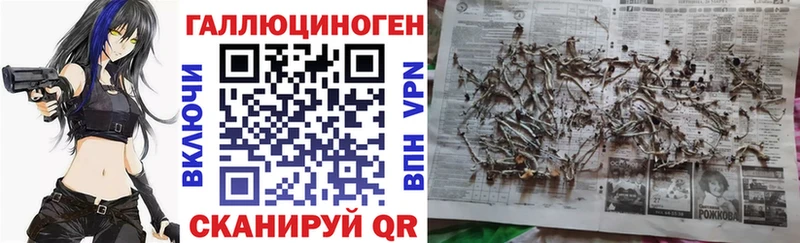 OMG маркетплейс  Чебоксары  Галлюциногенные грибы мицелий 